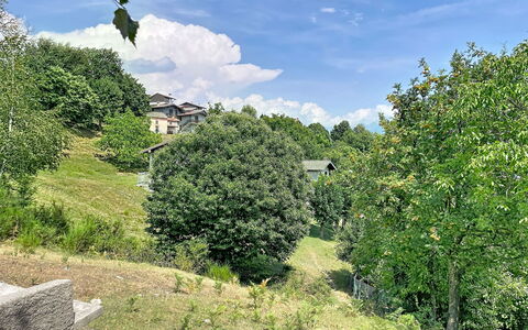 Baita Melissa: Tree, Leaf, Green, Vegetation, Shrub, Plant Community, Rural Area, Groundcover, Garden, Spring