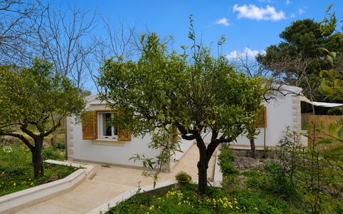 La Dimora di Diana: Shrub, Garden, Cottage, Shade, Backyard, Yard, Landscaping, Hacienda, Farmhouse