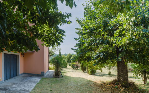Gli Oleandri di Grazia: Leaf, Branch, Shrub, Garden, Sunlight, Shade, Lawn, Landscaping, Driveway, Yard