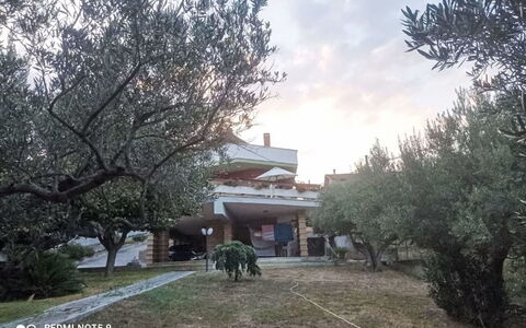 La Terrazza di Colle Marino: Tree, Hacienda, Yard, Landscaping