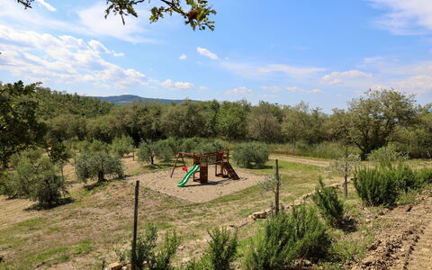La Calcinaia Country House, Bucine: Tree, Vegetation, Landscape, Plant Community, Rural Area, Land Lot, Plain, Soil, Shrubland, Pasture