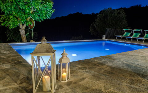 Villa Mia 6: Swimming Pool, Composite Material, Flowerpot, Outdoor Furniture, Resort, Flagstone, Water Feature, Houseplant, Landscaping, Shade