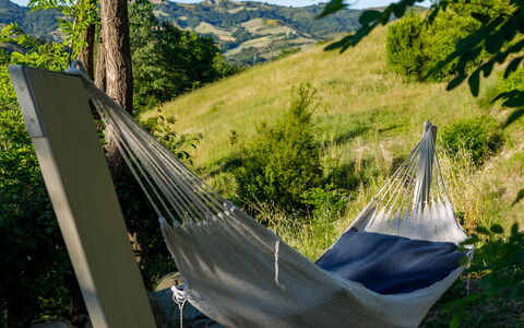 Villa Mia 6: Leisure, Garden, Shade, Outdoor Furniture, Lawn