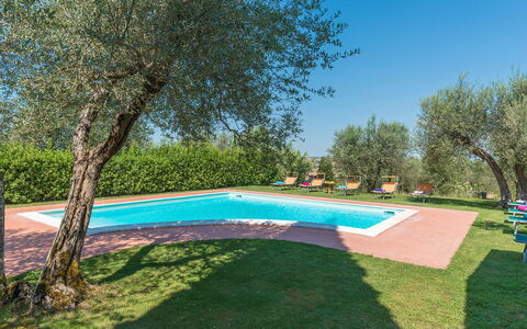 Casa Torrione 14: Hacienda, Estate, Lawn, Farmhouse, Villa, Swimming Pool, Backyard