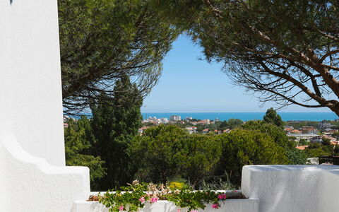 Villa Sarah 10+2: Blue, Leaf, Shade, Garden, Landscaping