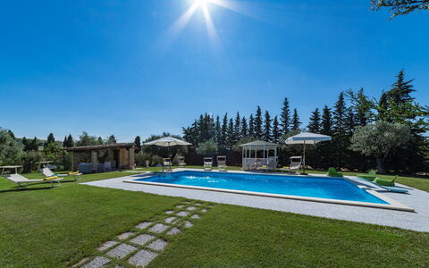 Il Podere di Fi 8: Swimming Pool, Resort, Garden, Outdoor Furniture, Landscaping, Lawn, Estate, Leisure, Eco Hotel, Shade