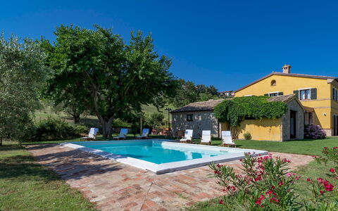 Casale Verdicchio 10+2: Estate, Cottage, Swimming Pool, Farmhouse, Hacienda, Villa, Lawn, Landscaping, Eco Hotel, Yard