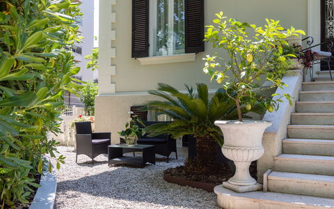 Villa Corona 8: Shrub, Garden, Flowerpot, Shade, Landscaping, Houseplant, Courtyard, Yard