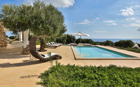 Villa Pajare Francesi 8+2: Resort, Shade, Swimming Pool, Estate, Villa, Design, Outdoor Furniture, Landscaping, Chair, Eco Hotel