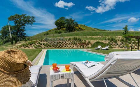 Rosa dei Venti 8: Natural Landscape, Swimming Pool, Hill, Landscape, Land Lot, Outdoor Furniture, Leisure, Garden, Sunlounger, Landscaping