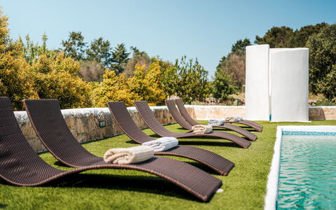 White Stone House 6+1: Outdoor Furniture, Shade, Garden, Landscaping, Lawn, Sunlounger, Design, Chaise Longue, Park, Swimming Pool