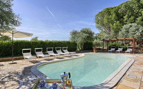 Virginia 8: Swimming Pool, Outdoor Furniture, Furniture, Resort, Shade, Chair, Sunlounger, Eco Hotel, Umbrella, Garden