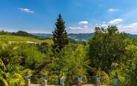Il Castellaccio 8: Green, Nature, Mountainous Landforms, Vegetation, Mountain, Hill, Landscape, Cloud, Plant Community, Hill Station