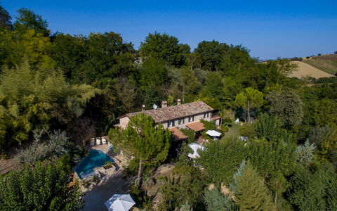 Villa Agave 8: Tree, Landscape, House, Home, Rural Area, Roof, Cottage, Estate, Landscaping, Village