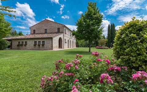 Villa Ambrah 12+1: Grass, Tree, Shrub, Landscape, Garden, Plain, Lawn, Estate, Yard