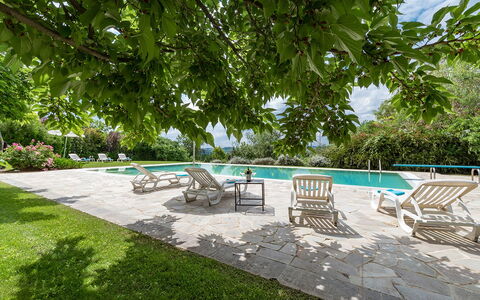 Villa Ambrah 12+1: Swimming Pool, Outdoor Furniture, Garden, Shade, Resort, Chair, Flagstone, Eco Hotel, Landscaping, Backyard