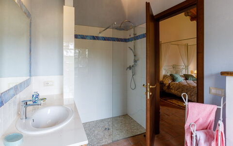 Ca' Pellicciano 8: Flooring, Interior Design, Floor, Wood, Plumbing Fixture, Room, Lighting, Ceiling, Bathroom, Plumbing