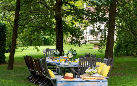 Villa Barchessa Panigai 8: Furniture, Outdoor Furniture, Chair, Table, Garden, Outdoor Table, Lawn, Shade, Backyard