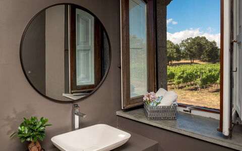 Villa Terre Normanne 10: Interior Design, Mirror, Plumbing Fixture, Tap, Plumbing, Bathroom Sink, Sink, Serveware, Bathroom, Light Fixture