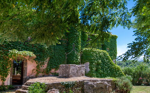 Villa Terre Normanne 10: Green, Wall, Leaf, Nature, Vegetation, Shrub, Garden, Groundcover, Stone Wall, Shade
