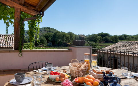 Villa Terre Normanne 10: Furniture, Chair, Outdoor Furniture, Flowerpot, Kitchen & Dining Room Table, Houseplant, Outdoor Table, Balcony, Villa, Courtyard