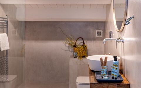 Villa Terre Normanne 10: Plumbing Fixture, Bathroom, Flooring, Interior Design, Wall, Floor, Tap, Sink, Plumbing, Lighting