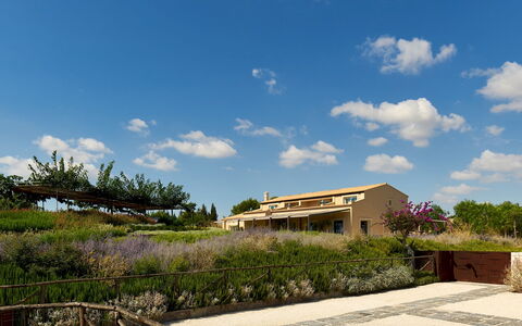 Villa Majoli 9: Shrub, Landscape, Land Lot, Plant Community, Rural Area, Estate, Farmhouse, Landscaping, Shrubland