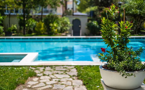 Villa Guidi 10: Green, Swimming Pool, Shrub, Garden, Shade, Leisure, Outdoor Furniture, Landscaping, Lawn