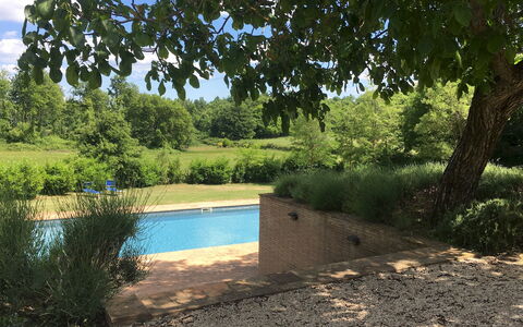 Villa Carmeli 12+2: Swimming Pool, Garden, Shade, Backyard, Landscaping, Evergreen