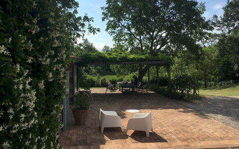 Villa Carmeli 12+2: Leaf, Shrub, Garden, Shade, Spring, Landscaping, Backyard, Yard, Walkway