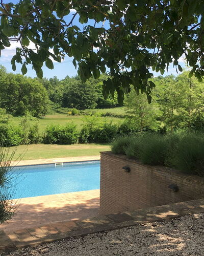 Villa Carmeli 12+2: Swimming Pool, Garden, Shade, Backyard, Landscaping, Evergreen