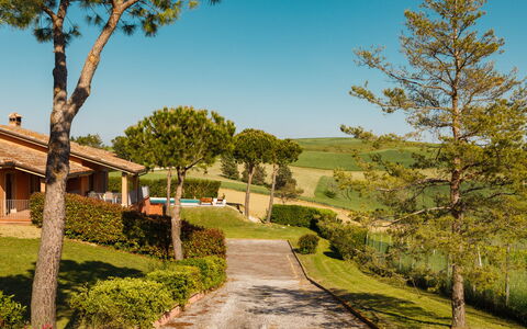 Villa California 6: Grass, Shrub, Land Lot, Garden, Landscaping, Cottage, Estate, Lawn, Shade, Farmhouse