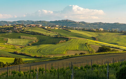 Villa California 6: Green, Hill, Field, Natural Landscape, Agriculture, Grassland, Landscape, Plain, Highland, Rural Area