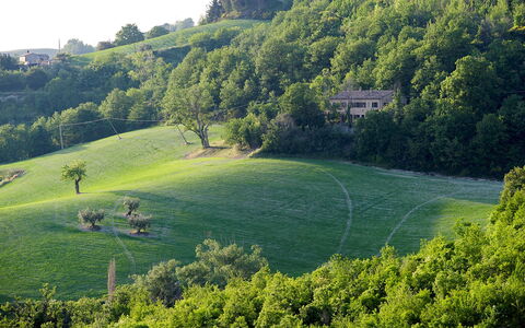 Casa Melograno 11+2: Green, Grass, Tree, Natural Environment, Nature, Vegetation, Natural Landscape, Grassland, Landscape, Plain