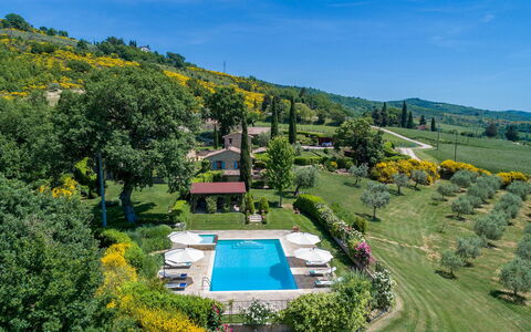 Casal Parro 6: Shrub, Land Lot, Garden, Estate, Swimming Pool, Groundcover, Plantation, Landscaping, Resort, Meadow