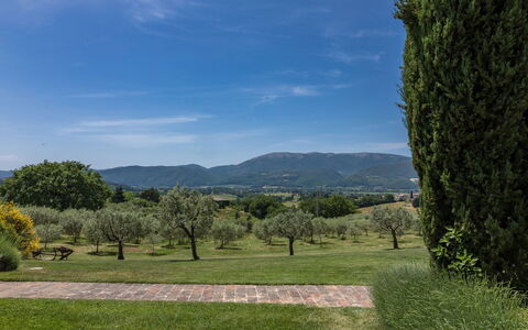 Casal Parro 6: Sky, Mountainous Landforms, Tree, Grass, Green, Nature, Leaf, Natural Environment, Hill, Mountain