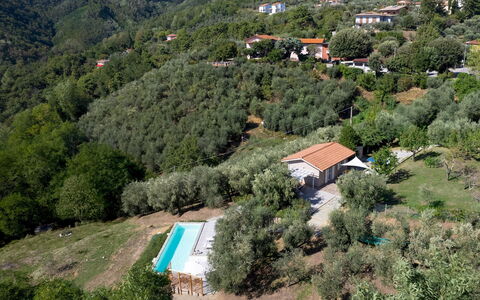 Villa Cristina 3: Tree, Landscape, House, Rural Area, Hill Station, Cottage, Estate, Slope, Village, Eco Hotel