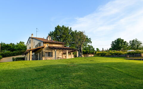Villa Pergola 8: Grass, Landscape, Land Lot, Rural Area, Plain, Home, Lawn, Farmhouse, Cottage, Estate
