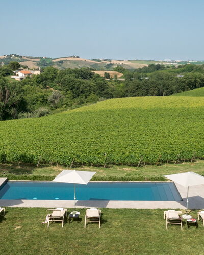 La Casa nei Vigneti 10: Swimming Pool, Sunlounger, Resort, Outdoor Furniture, Umbrella, Estate, Leisure, Eco Hotel, Villa, Landscaping