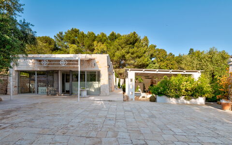 Pigreco 6+2: Tree, Shade, Estate, Driveway, Concrete, Landscaping, Courtyard, Hacienda, Flagstone, Villa