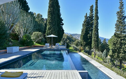 Villa Armonia 8: Blue, Swimming Pool, Evergreen, Landscaping, Water Feature, Larch, Pine Family