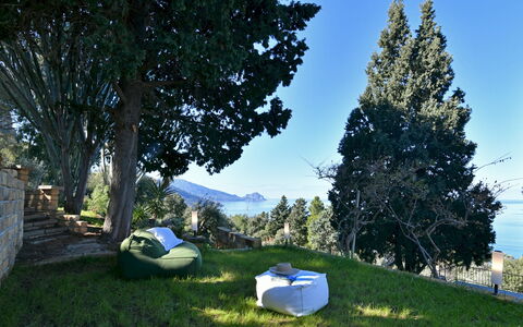 Villa Armonia 8: Landscape, Outdoor Furniture, Sunlight, Garden, Lawn, Shade, Sunlounger, Landscaping, Chair, Evergreen