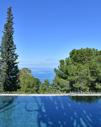 Villa Armonia 8: Blue, Swimming Pool, Evergreen, Tropics, Larch, Pine Family