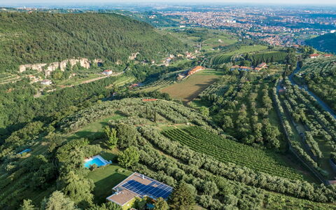 Villa degli Ulivi 8: Green, Nature, Natural Environment, Bird'S-Eye View, Vegetation, Landscape, Natural Landscape, Aerial Photography, Highland, Land Lot