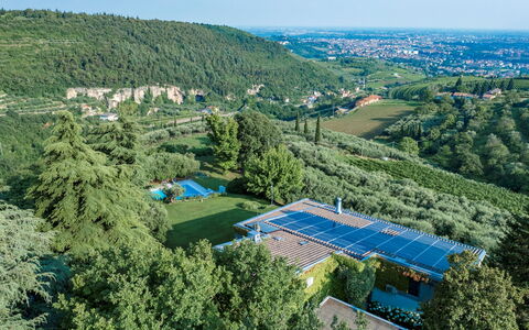 Villa degli Ulivi 8: Tree, Vegetation, Bird'S-Eye View, Landscape, Aerial Photography, Land Lot, Swimming Pool, Hill Station, Eco Hotel, Garden