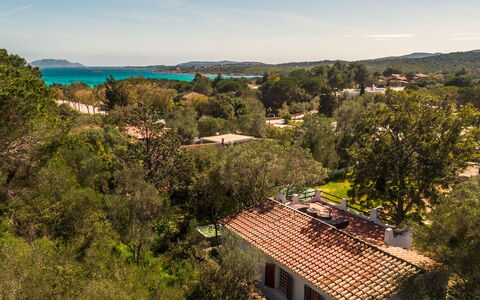 Casa Valentina 6: Sky, Blue, Tree, Nature, Vegetation, Residential Area, Landscape, Land Lot, Human Settlement, Estate