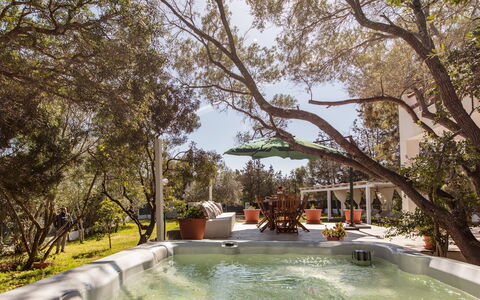 Casa Valentina 6: Tree, Furniture, Resort, Swimming Pool, Shade, Outdoor Furniture, Garden, Chair, Backyard, Estate