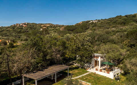 Casa Valentina 6: Tree, Landscape, Shrub, Rural Area, Estate, Spring, Garden, Eco Hotel, Landscaping, Hacienda