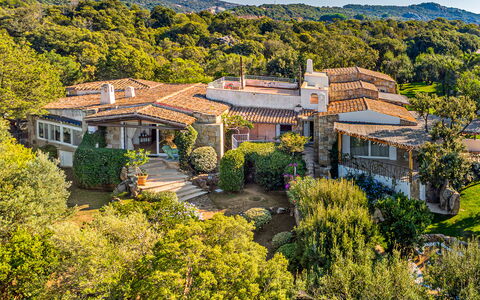 Villa Stella 6: Vegetation, Shrub, Plant Community, Landscape, Land Lot, Rural Area, Estate, Shrubland, Chaparral