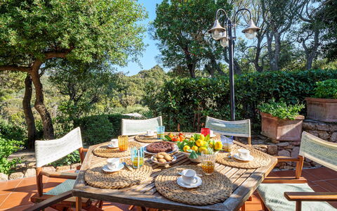 Villa Stella 6: Furniture, Outdoor Furniture, Table, Chair, Outdoor Table, Kitchen & Dining Room Table, Flowerpot, Garden, Patio